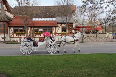 tl xe jb. . Frankenmuth carriage ride coupon